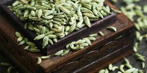 FENNEL SEEDS .