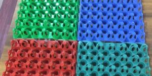 Plastic Egg Trays