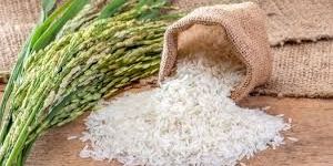 Basmati Rice
