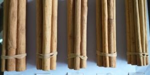 Cinnamon Sticks