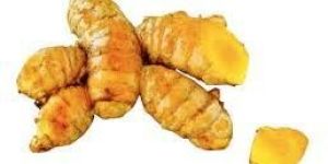 Yellow Turmeric Spice