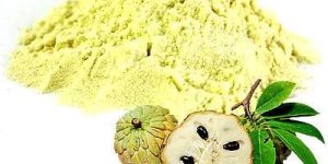 Custard Apple Powder