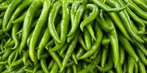 Fresh Green Chilli