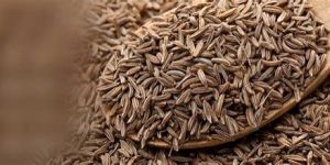 Cumin Seed