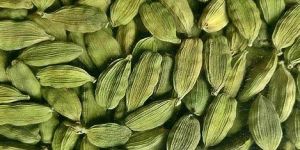 Green Cardamom