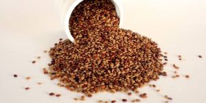 Horse Gram