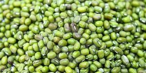 Mung Bean