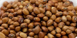 Turkish Gram