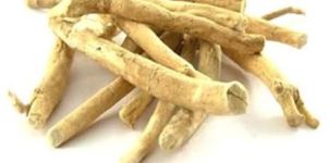 Ashwagandha Roots
