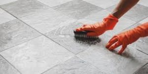 Tile Cleaner