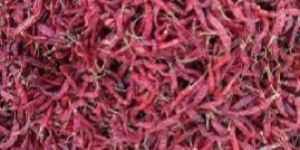 Dried Red Chilli