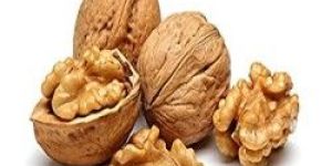 Shelled Walnuts
