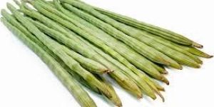 Fresh Drumstick