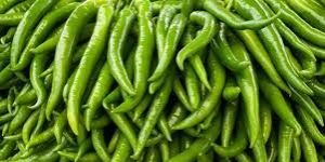 Fresh Green Chilli