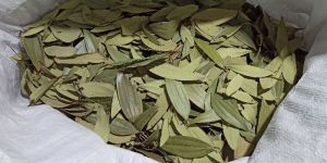 Bay Leaf Tejjpatta