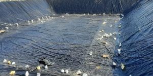 Agricultural Pond Liners