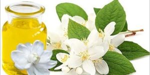 Jasmine Oil