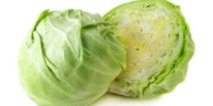 Fresh Cabbage