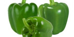 Fresh Green Capsicum