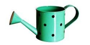 SH-21007 Metal Watering Can