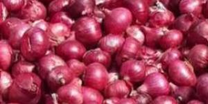 Fresh Red Onion