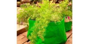 24x18 Inch HDPE Grow Bags