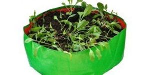 24x6 Inch HDPE Grow Bags