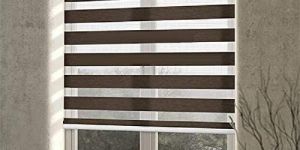 Window Zebra Blinds