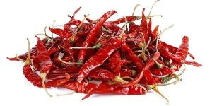 Dry Red Chilli