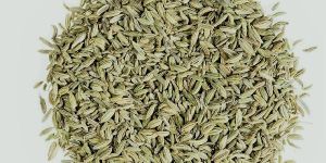 Fennel Seeds