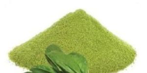 Spinach Powder