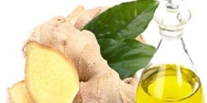 Ginger Oil