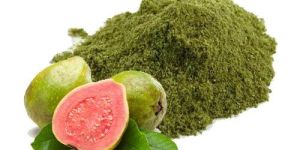 Guava Leaf Powder
