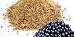 Jamun Powder