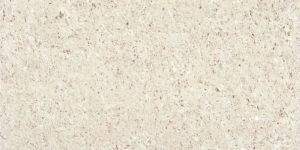600X600 MM Light Series Double Charged Vitrified Tiles