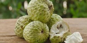Fresh Custard Apple