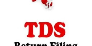 Tds Return Services