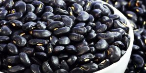 Black Kidney Bean