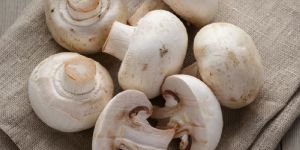 Fresh Button Mushroom