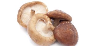 Fresh Shiitake Mushroom