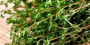 Fresh Thyme