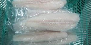 Frozen Basa Fish