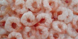 Frozen Shrimp