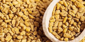 Fenugreek Seeds