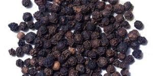 Black Pepper Seeds