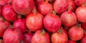Fresh Pomegranate