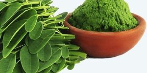 Moringa Leaves Powder