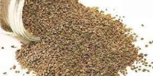 Organic Ajwain Seeds