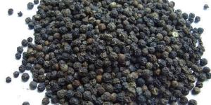 Organic Black Pepper
