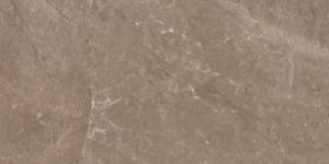 600x1200 Mm Sintetico Botanica Glossy Tiles